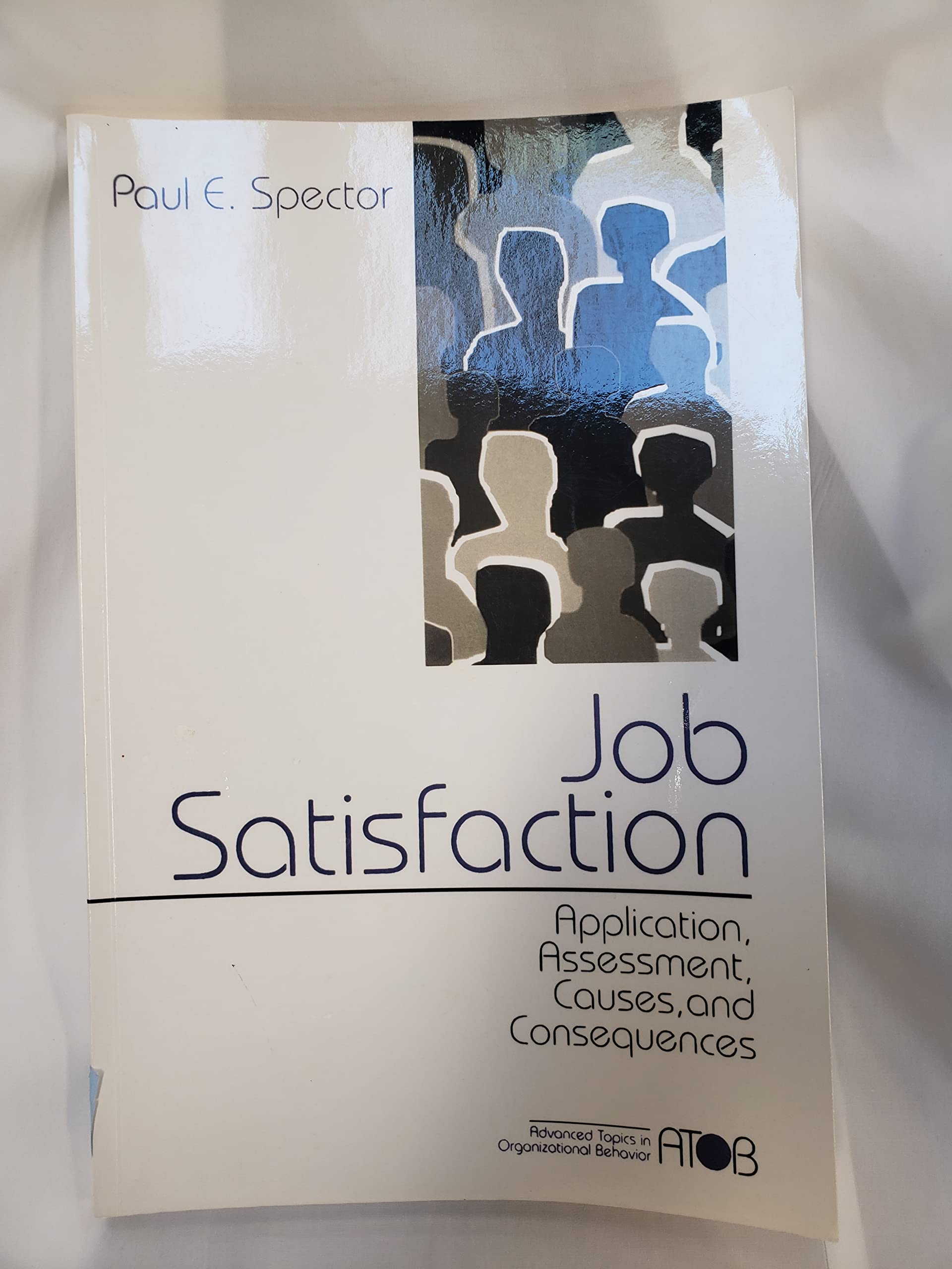 Job Satisfaction: Application, Assessment, Causes, and Consequences (Advanced Topics in Organizational Behavior) Business, Finance & Career