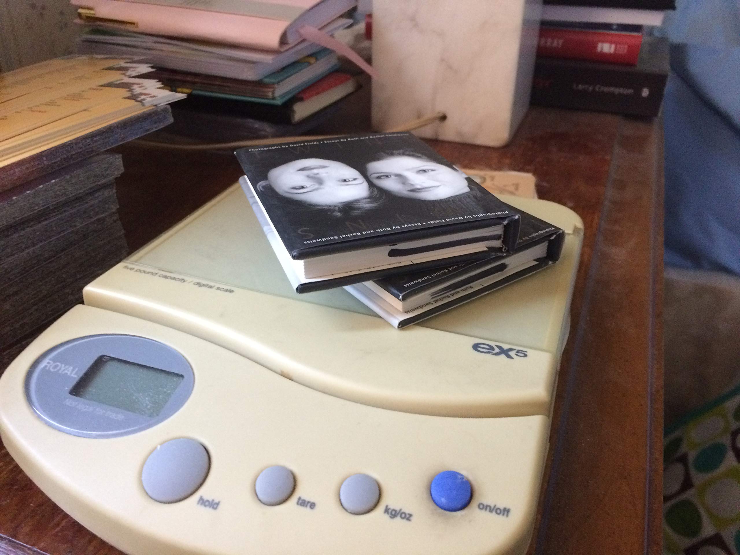 Twins: A Celebration (Miniature Editions) Photography Books