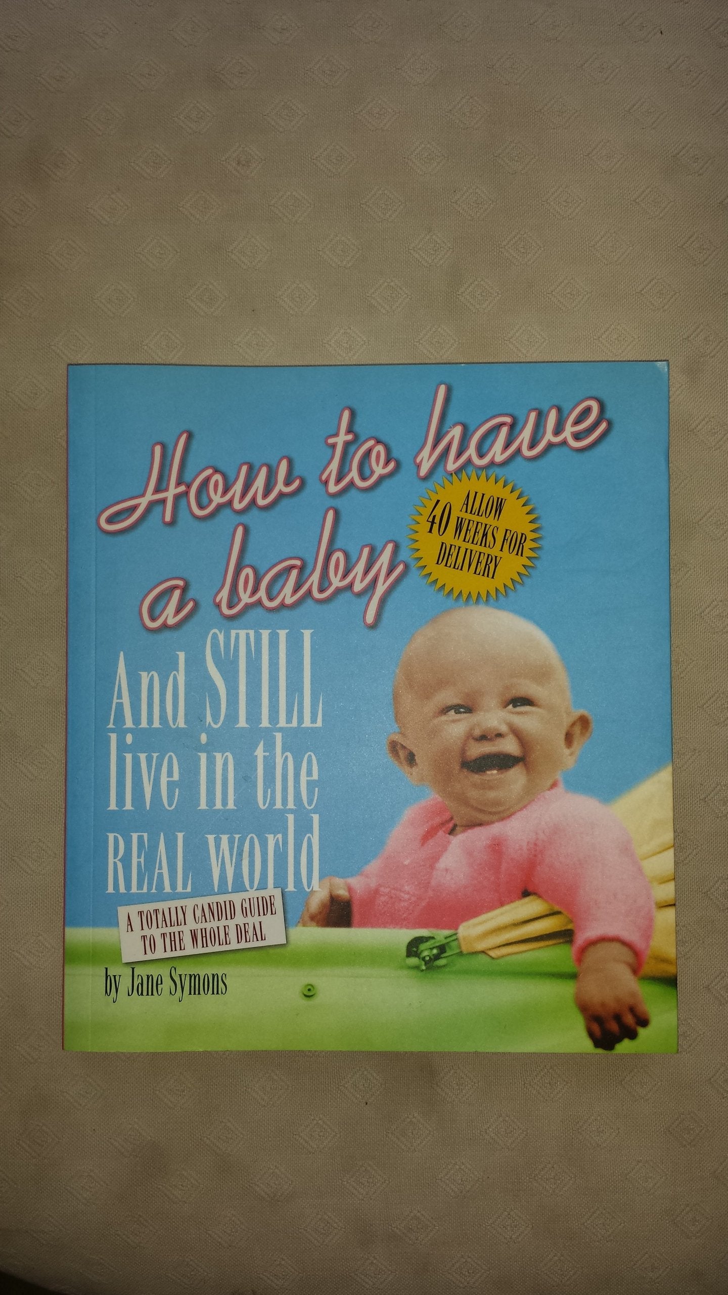 How to Have a Baby and Still Live in the Real World: A Totally Candid Guide to the Whole Deal Leisure, Home & Garden