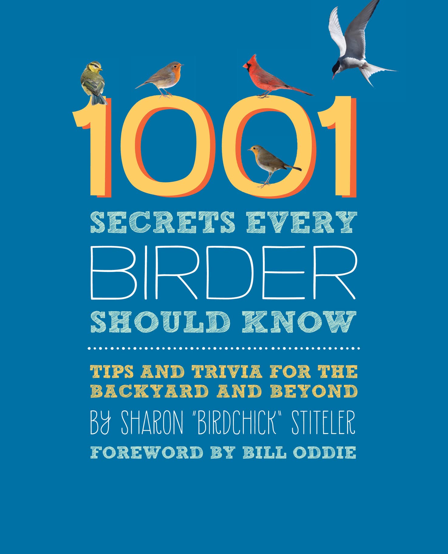 1001 Secrets Every Birder Should Know: Tips and Trivia for the Backyard and Beyond Mathematics