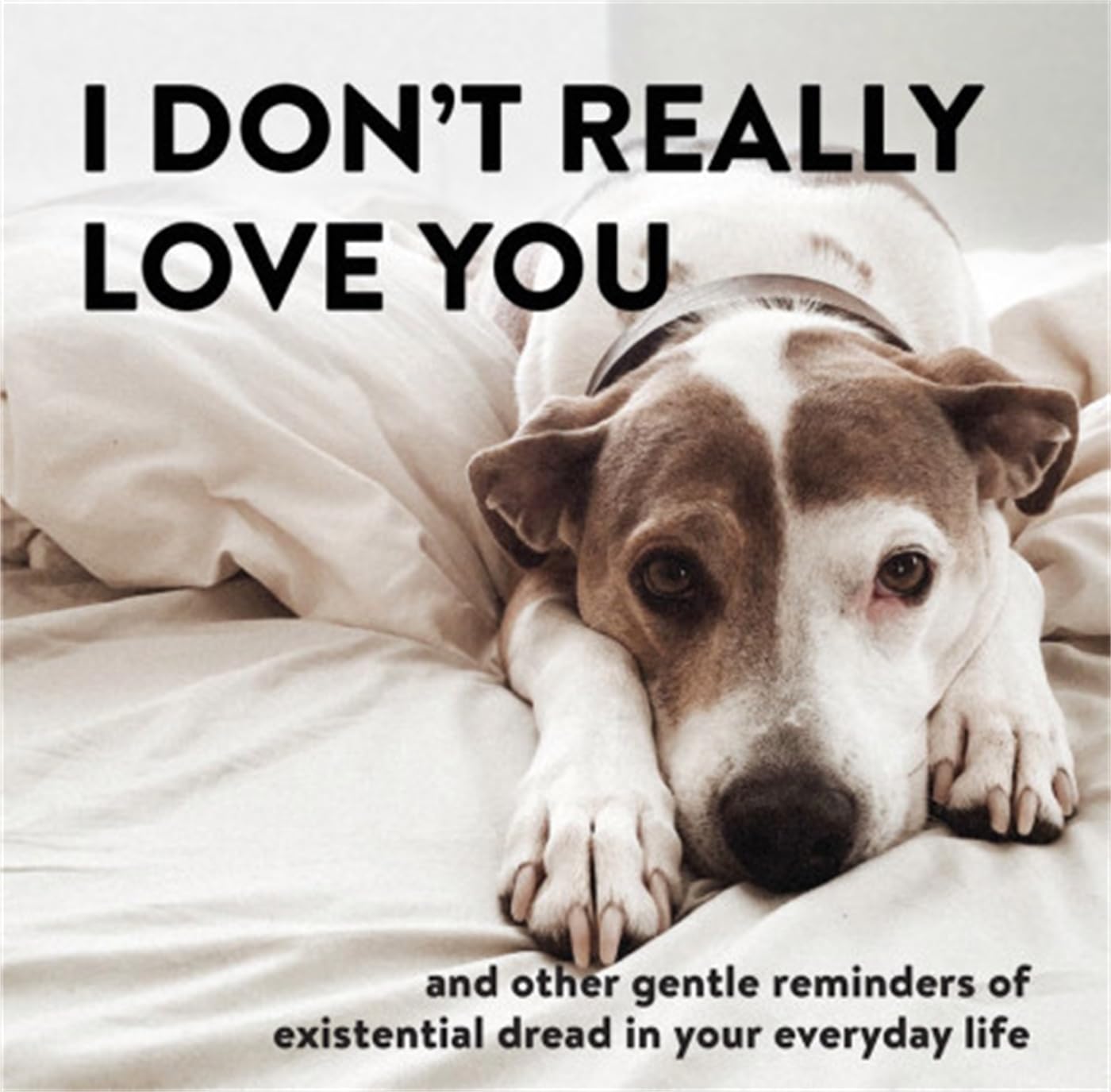 I Don't Really Love You: And Other Gentle Reminders of Existential Dread in Your Everyday Life Social Sciences