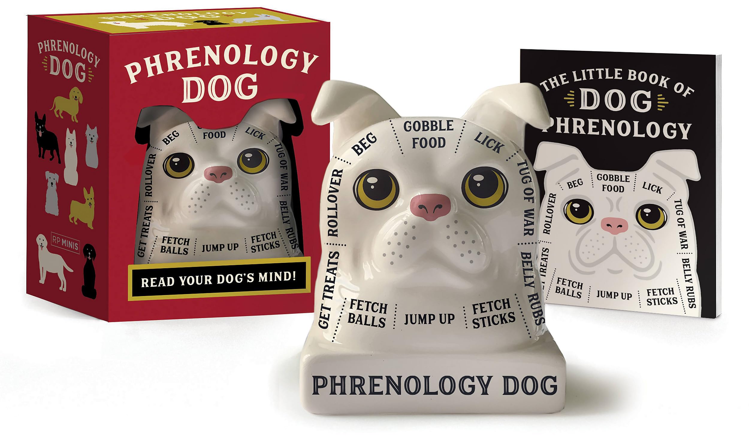 Phrenology Dog: Read Your Dog's Mind! (RP Minis) Hobbies & Crafts