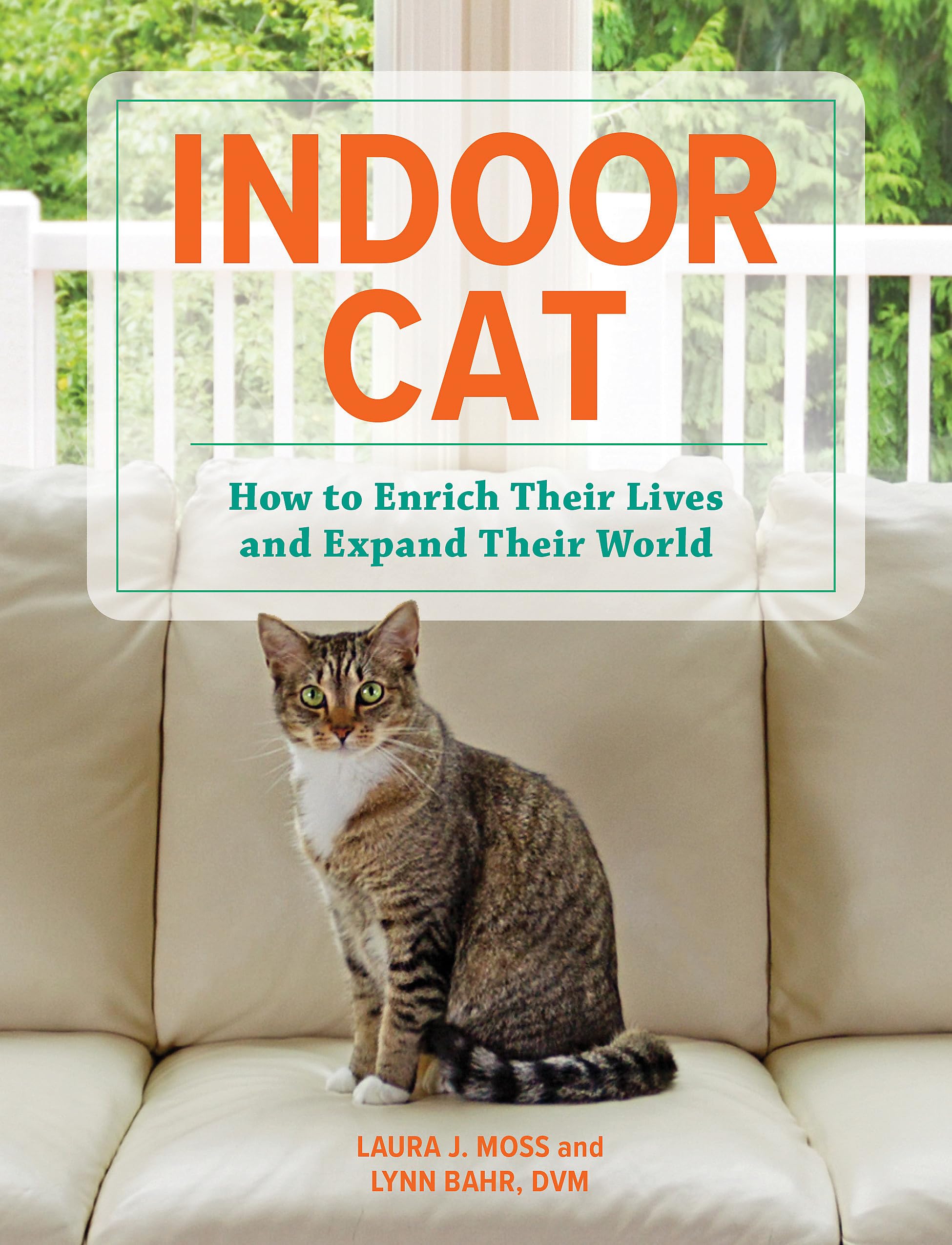 Product Image: Indoor Cat