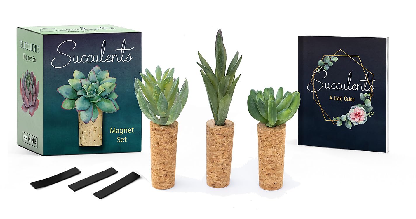 Succulents Magnet Set (RP Minis) Mathematics