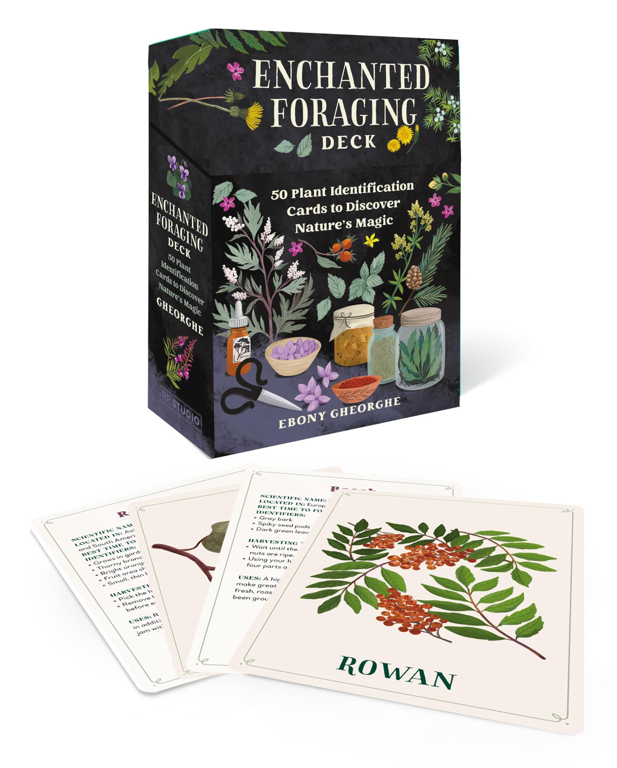 Enchanted Foraging Deck: 50 Plant Identification Cards to Discover Nature's Magic (RP Studio) Mathematics