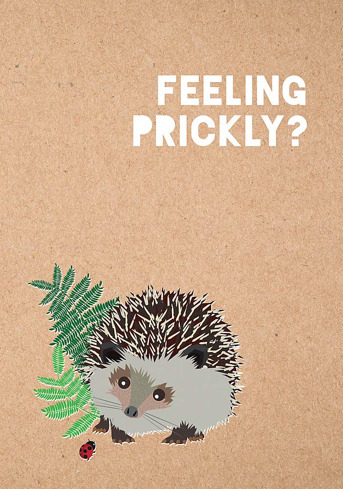 Feeling Prickly Journal Leisure & Fun