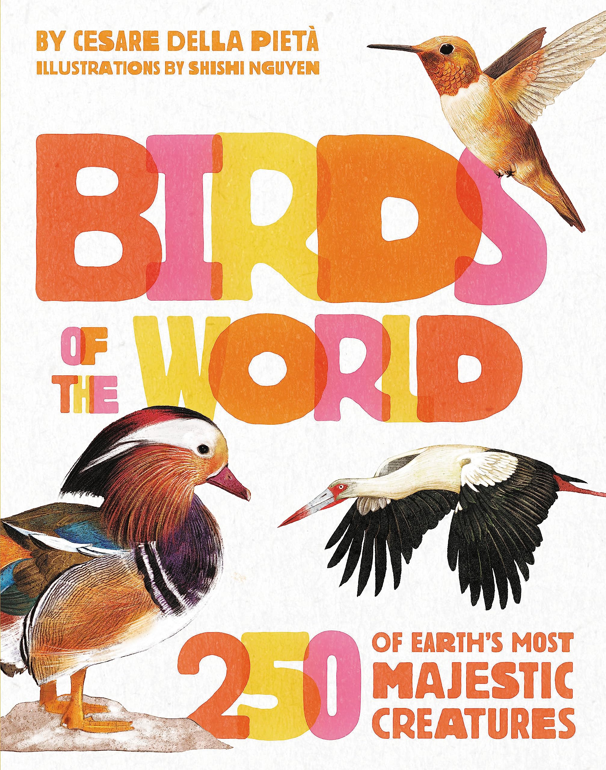 Birds of the World: 250 of Earth's Most Majestic Creatures Leisure, Home & Garden