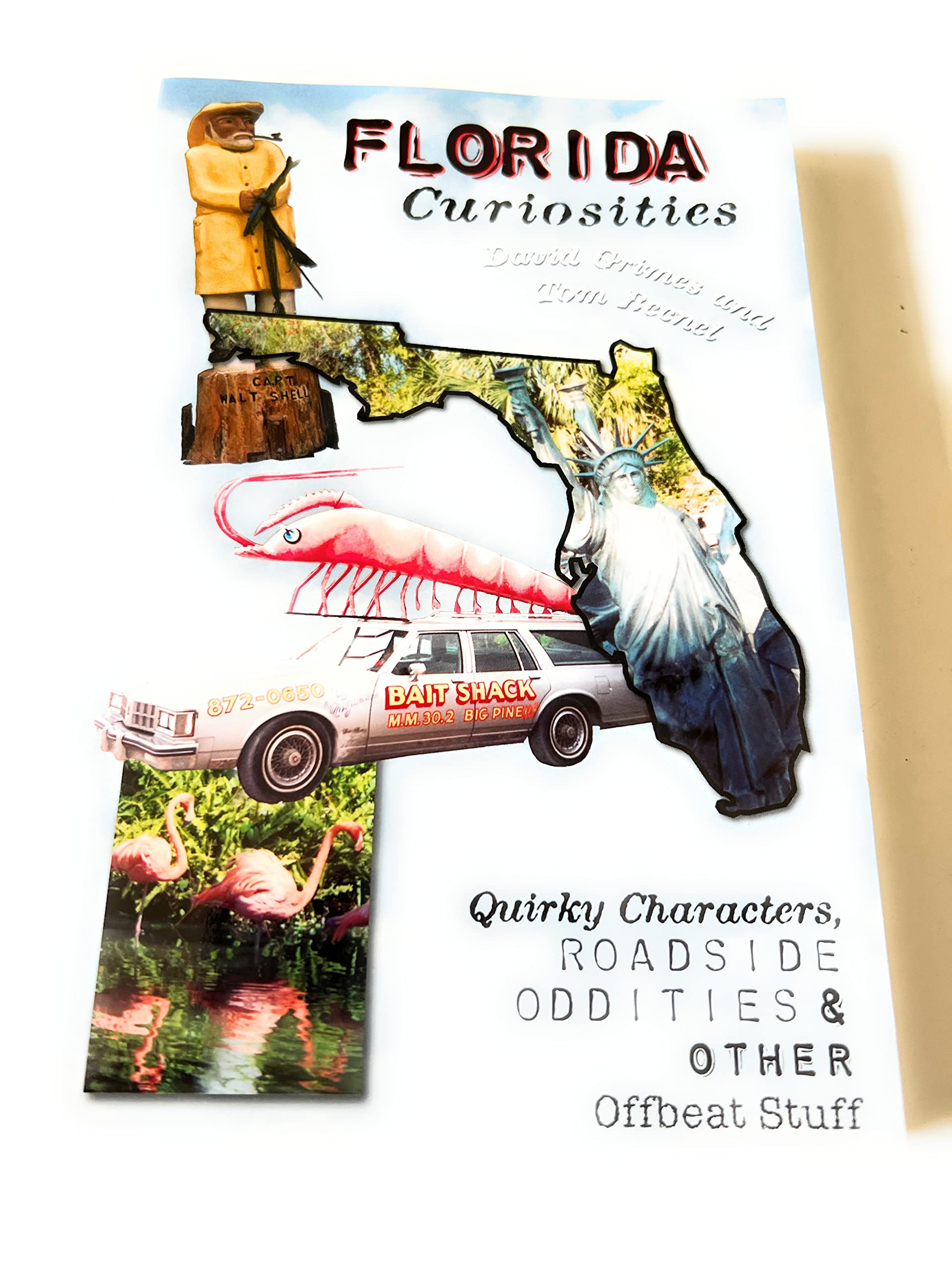 Florida Curiosities: Quirky Characters, Roadside Oddities & Other Offbeat Stuff Politics & History
