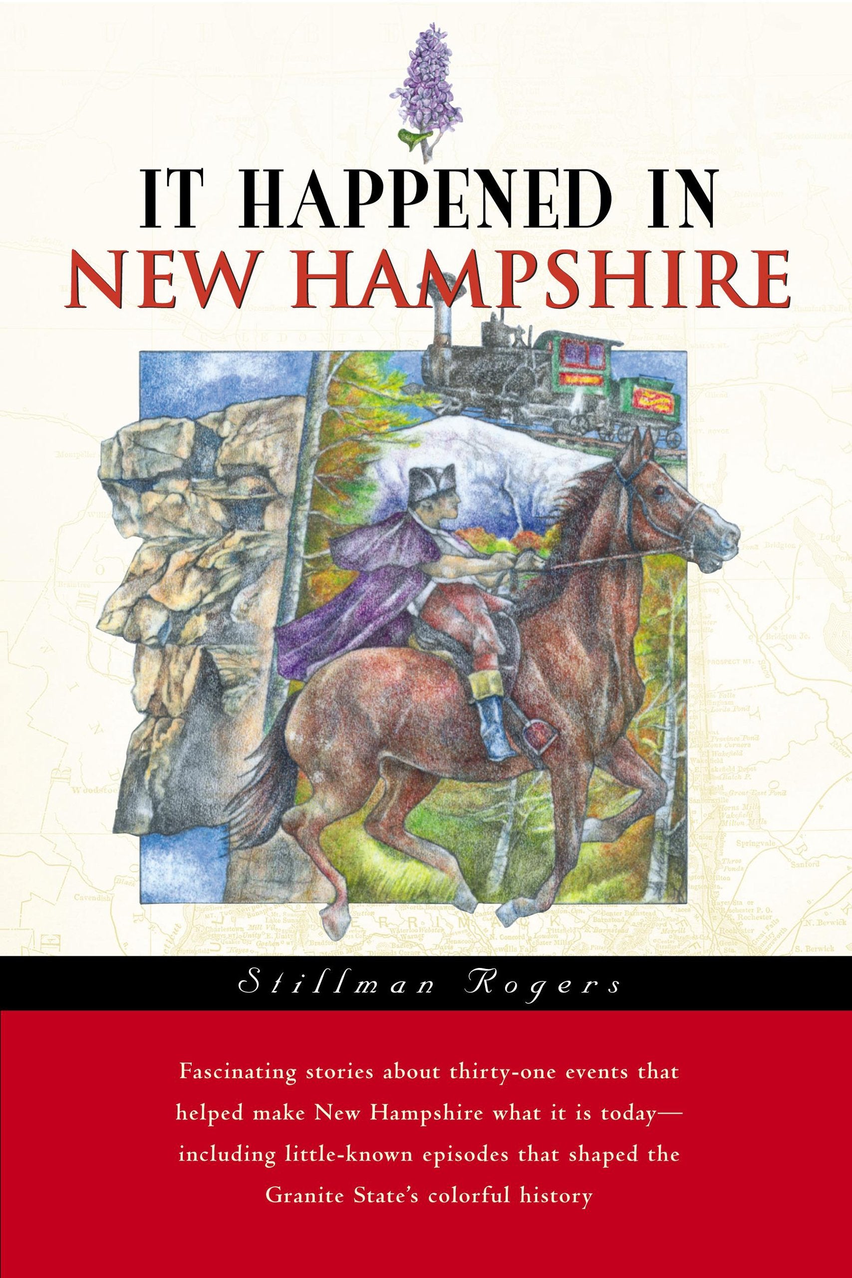 It Happened in New Hampshire (It Happened in Series) Politics & History