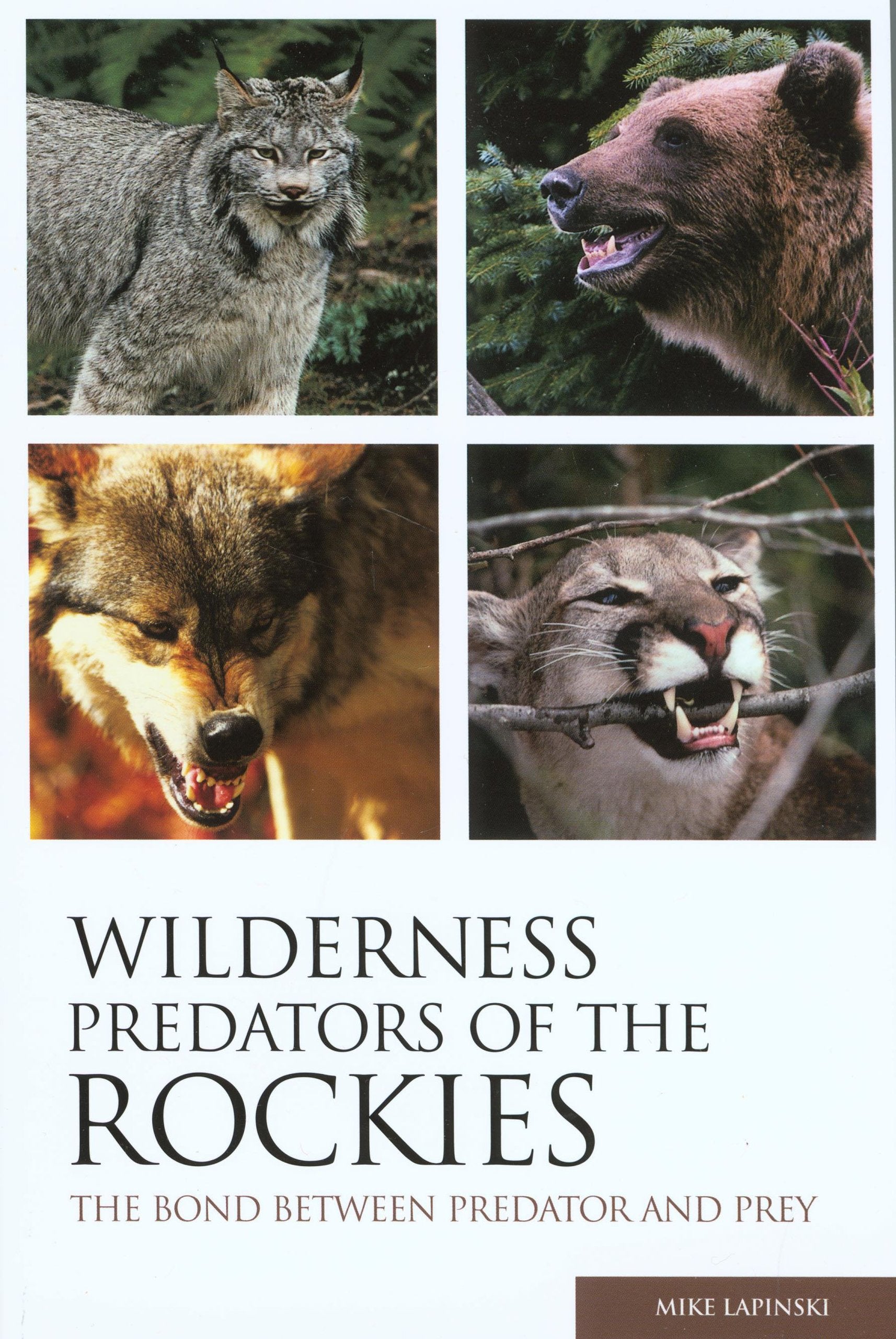 Wilderness Predators of the Rockies: The Bond Between Predator And Prey Mathematics