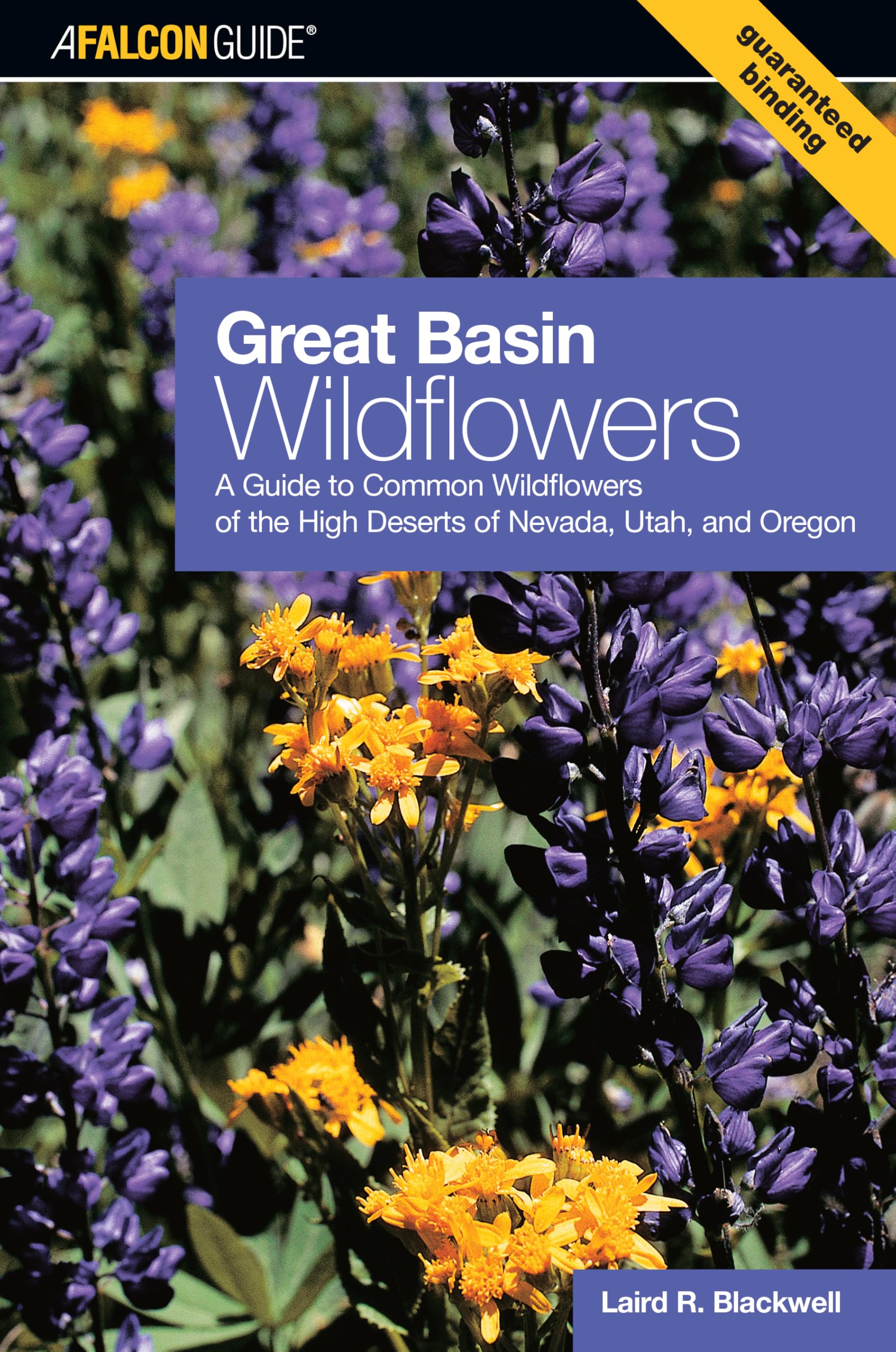Great Basin Wildflowers: A Guide To Common Wildflowers Of The High Deserts Of Nevada, Utah, And Oregon (Falcon Guide) Mathematics