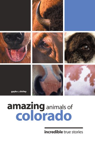 Insiders Guide Amazing Animals Of Colorado: Incredible True Stories (Four-Legged Legends Series, Amazing Animals) Mathematics