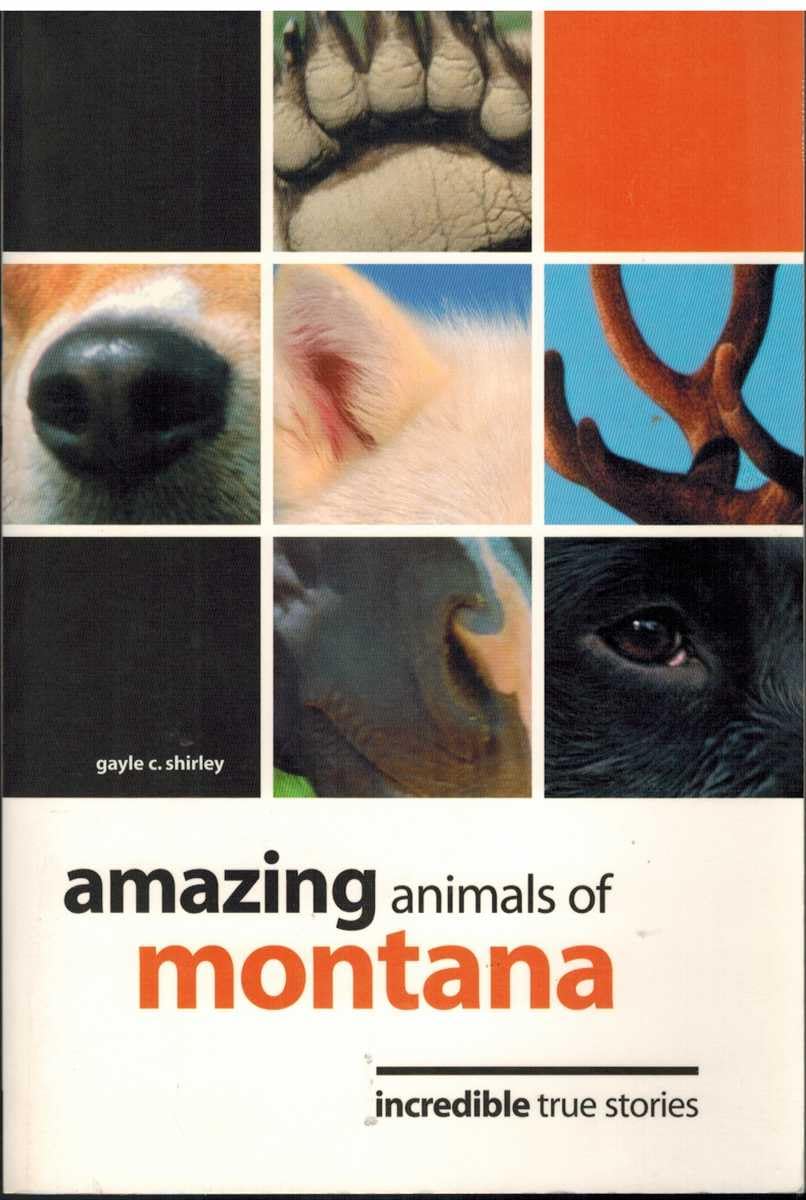 Insiders Guide Amazing Animals Of Montana: Incredible True Stories (Four-Legged Legends Series, Amazing Animals) Mathematics