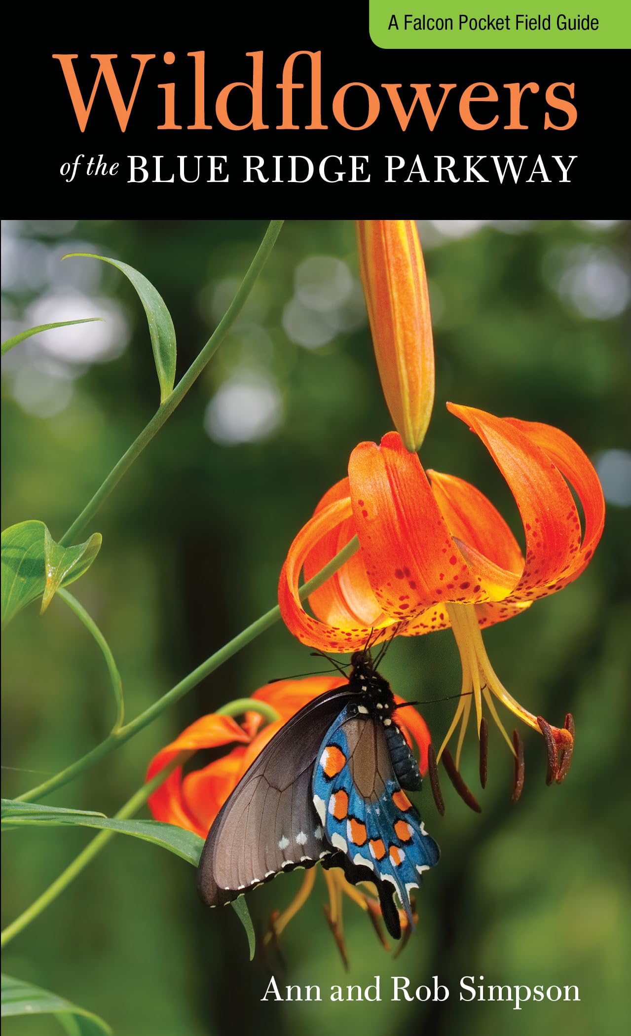 Wildflowers of the Blue Ridge Parkway: A Pocket Field Guide (Falcon Pocket Field Guide) Mathematics