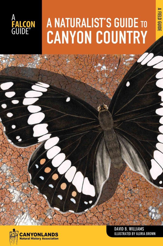 Naturalist's Guide to Canyon Country (Naturalist's Guide Series) Mathematics