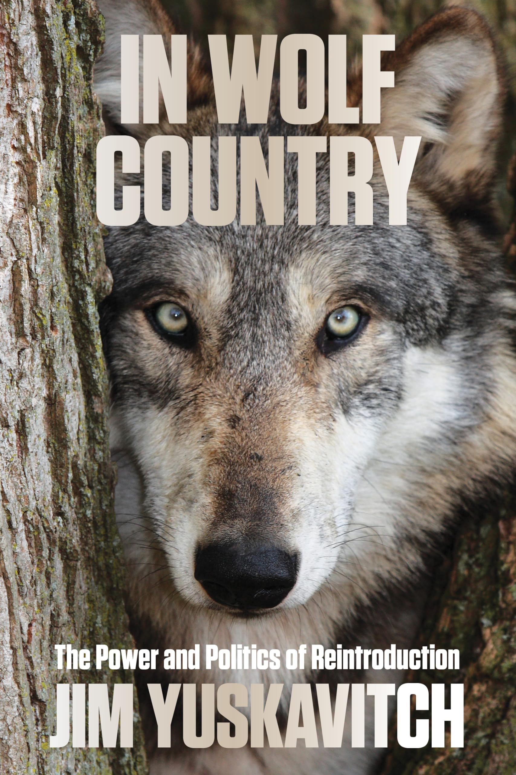 In Wolf Country: The Power and Politics of Reintroduction Leisure, Home & Garden