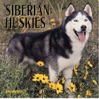 Cal 99 Siberian Huskies Pets
