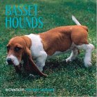 Cal 99 Basset Hounds Pets