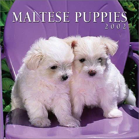 Product Image: Maltese Puppies 2002 Calendar