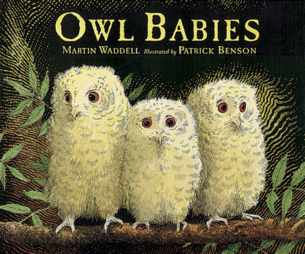 Owl Babies Big Book Parents & Children