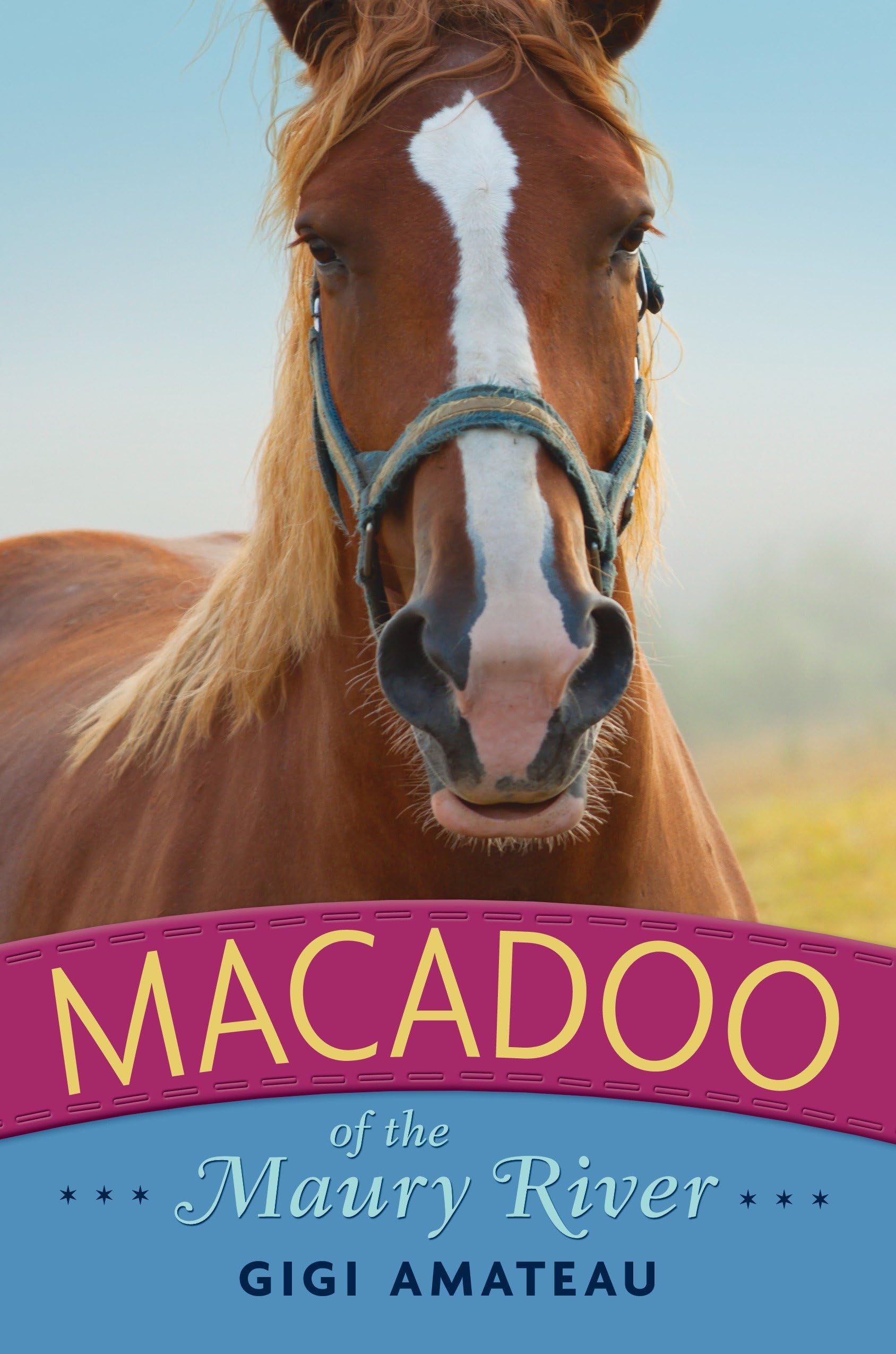 Macadoo: Horses of the Maury River Stables Leisure & Fun