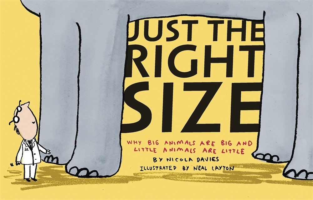 Just the Right Size: Why Big Animals Are Big and Little Animals Are Little Non-fiction