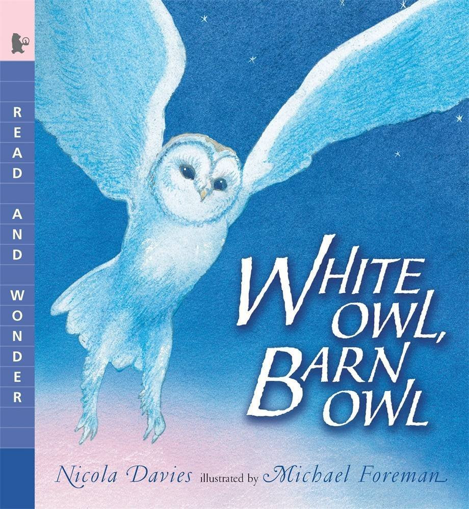 White Owl, Barn Owl (Read, Listen, and Wonder) Non-fiction