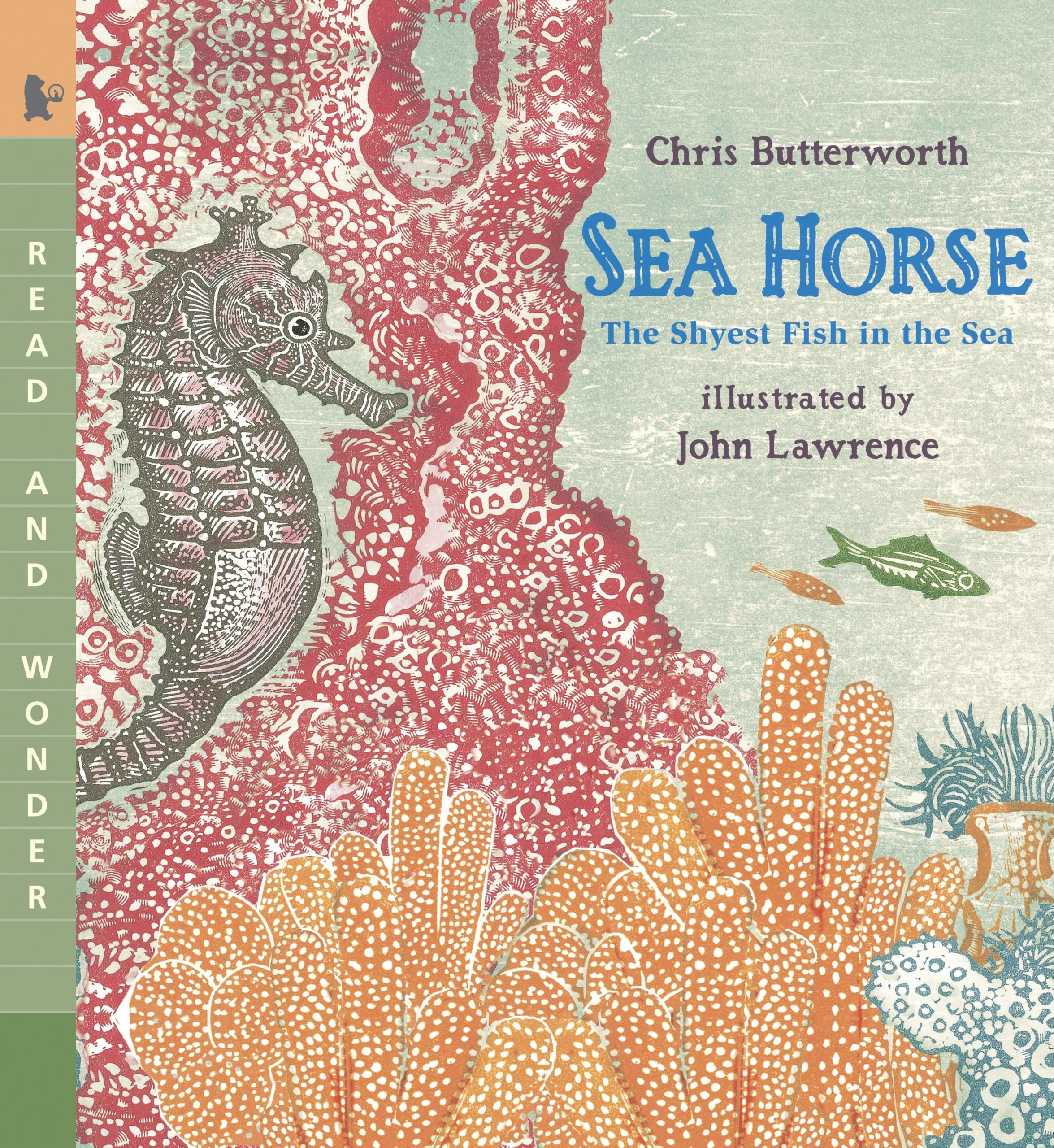 Sea Horse: The Shyest Fish in the Sea: Read and Wonder Non-fiction