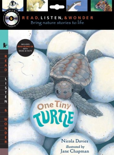 One Tiny Turtle (Read, Listen, and Wonder) Non-fiction