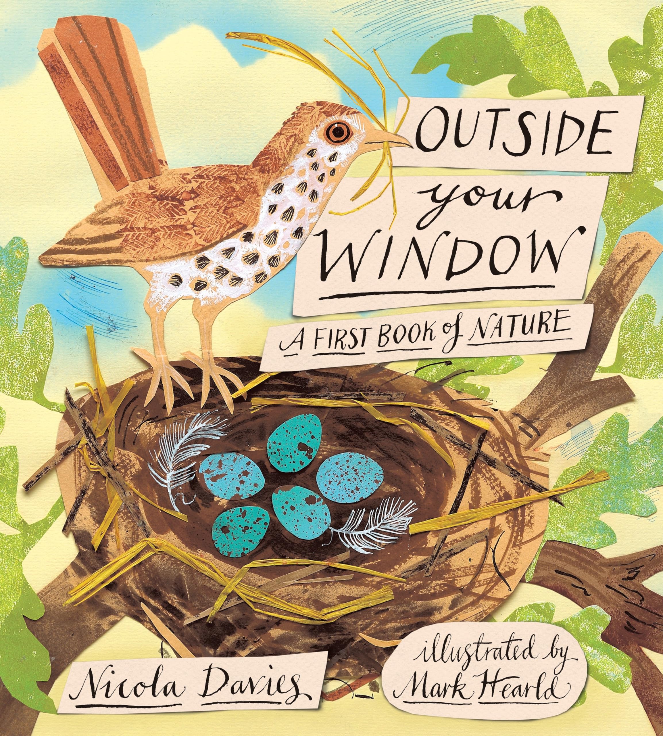 Outside Your Window: A First Book of Nature Non-fiction