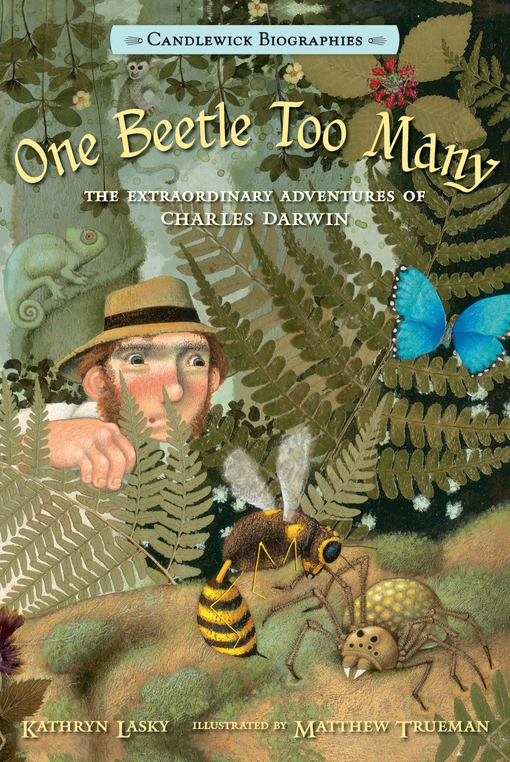 One Beetle Too Many: Candlewick Biographies: The Extraordinary Adventures of Charles Darwin Non-fiction