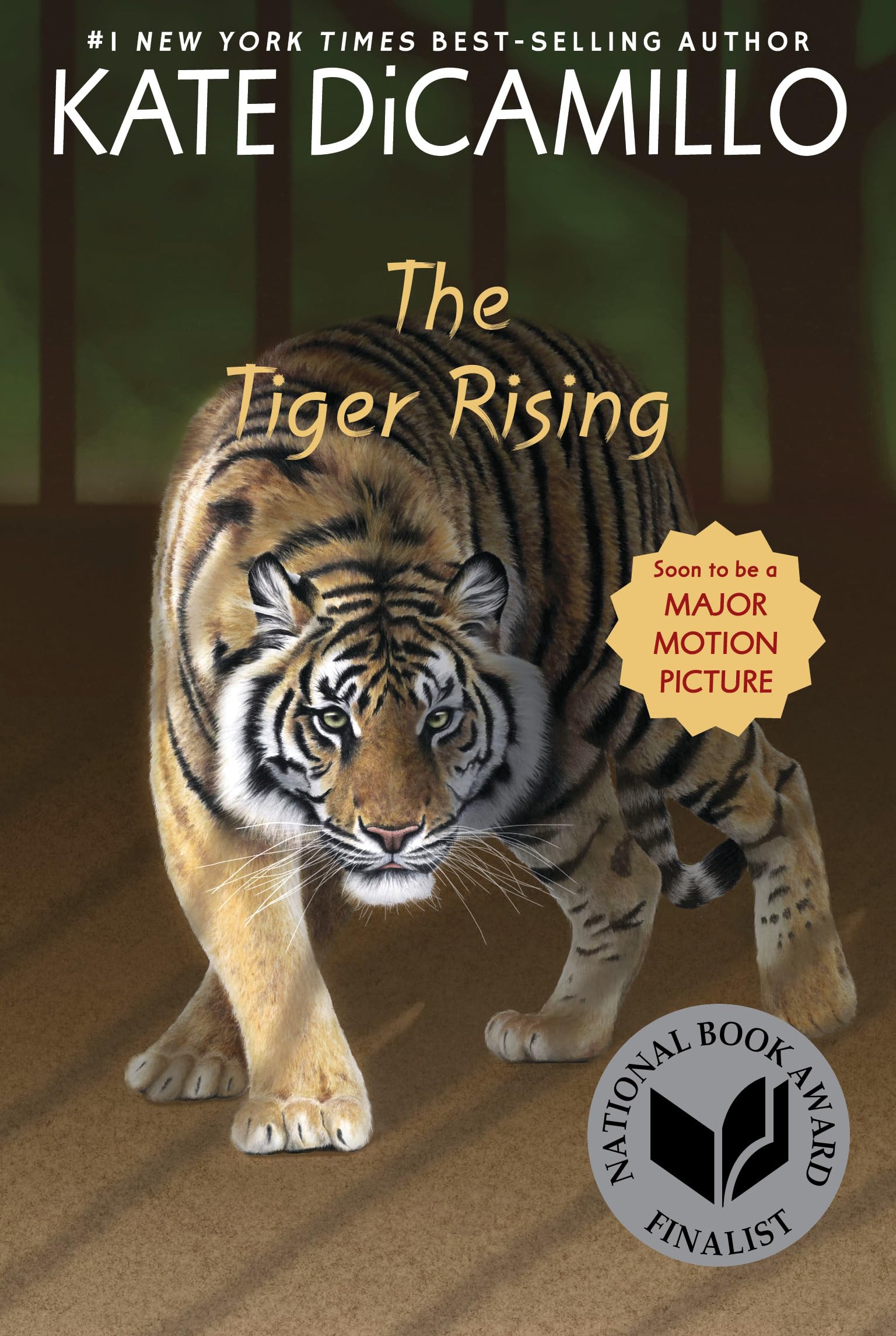 The Tiger Rising Non-fiction books for kids