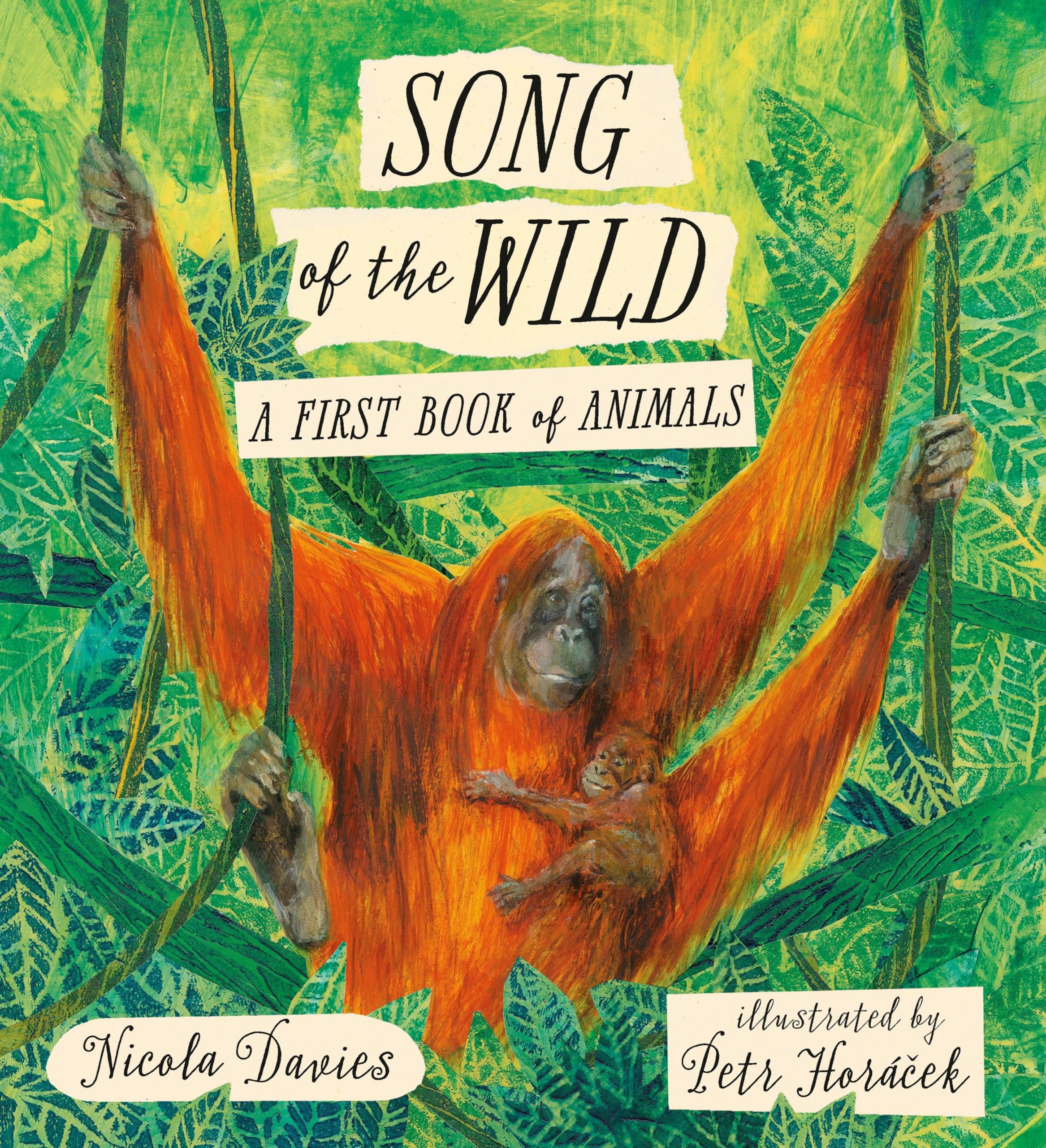 Song of the Wild: A First Book of Animals Non-fiction