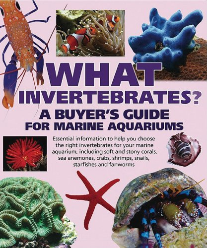 What Invertebrates?: A Buyer's Guide for Marine Aquariums (What Pet? Books) Pets