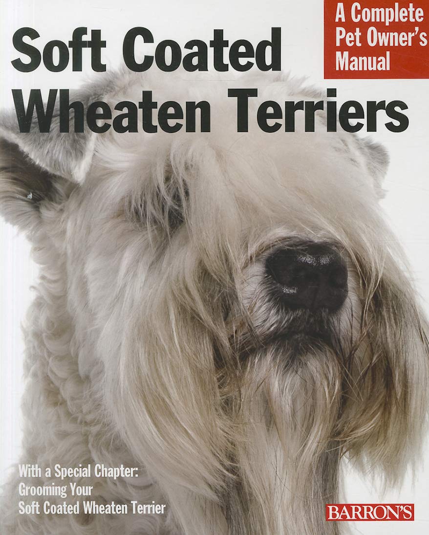 Soft Coated Wheaten Terriers Pets
