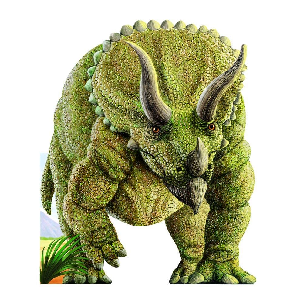 Triceratops book