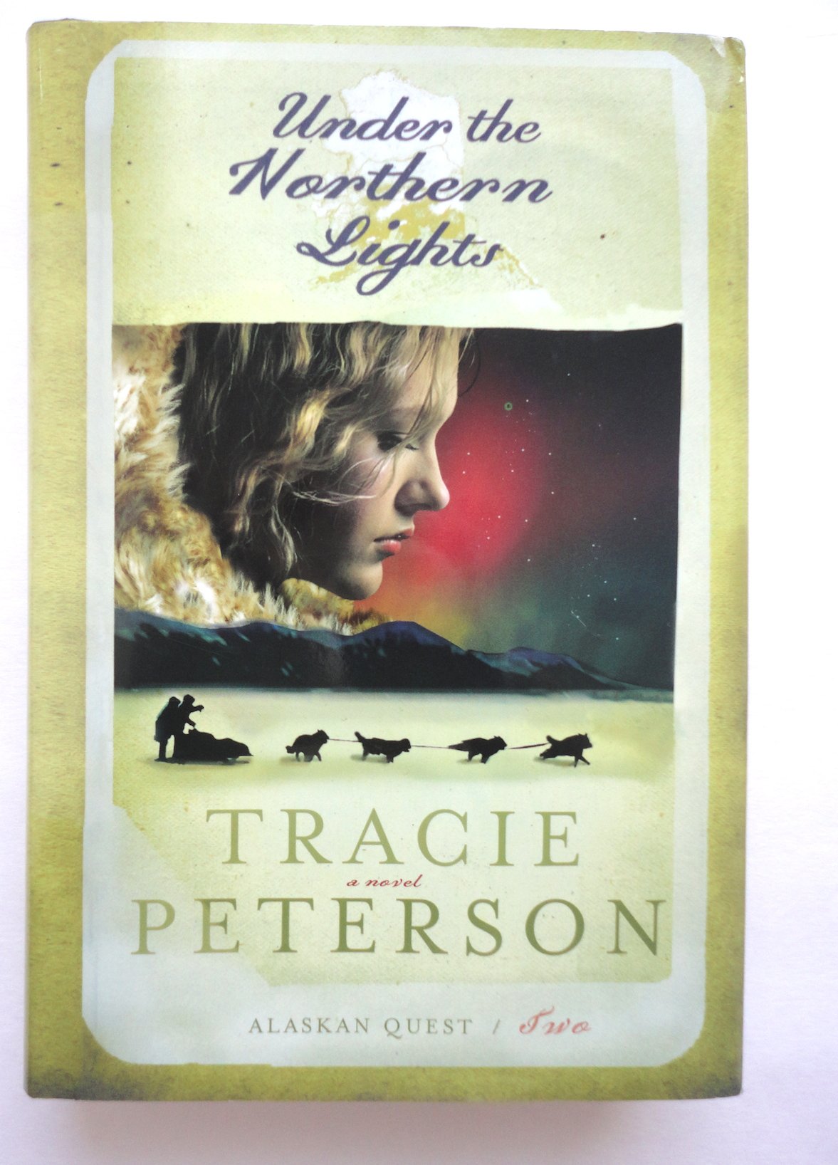 Under the Northern Lights (Alaskan Quest, 2, Band 2) Historical Fiction
