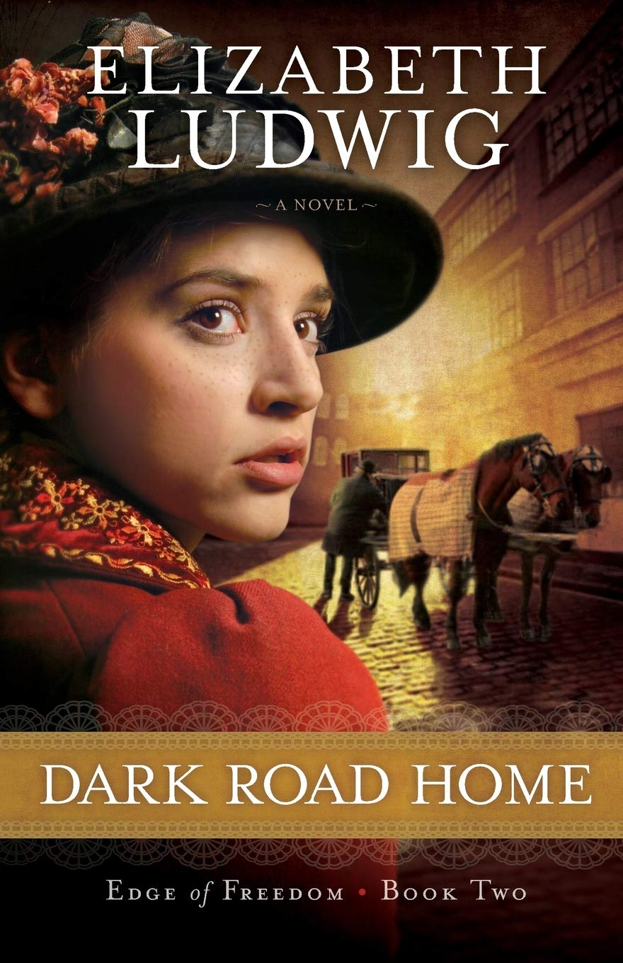 Dark Road Home (Edge of Freedom, 2, Band 2) Books