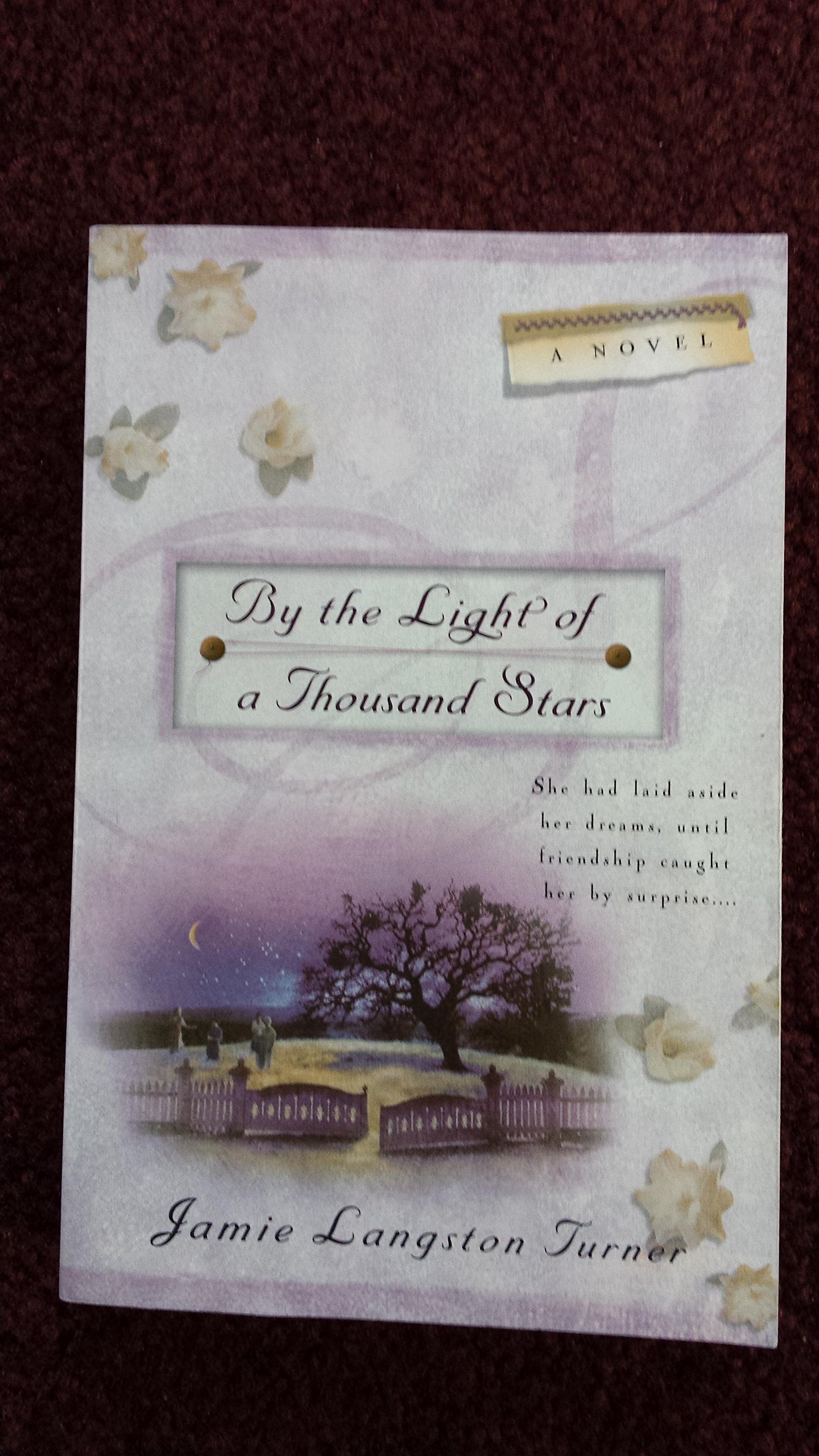 By the Light of a Thousand Stars Contemporary literature