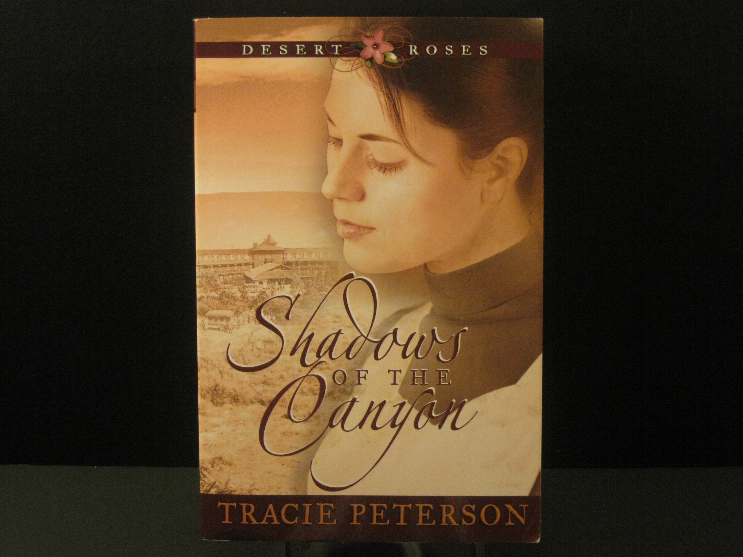 Shadows of the Canyon (DESERT ROSES, Band 1) Contemporary literature