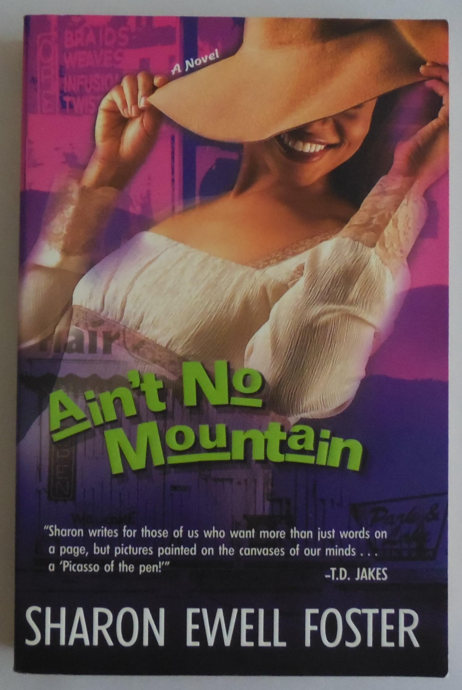 Ain't No Mountain book