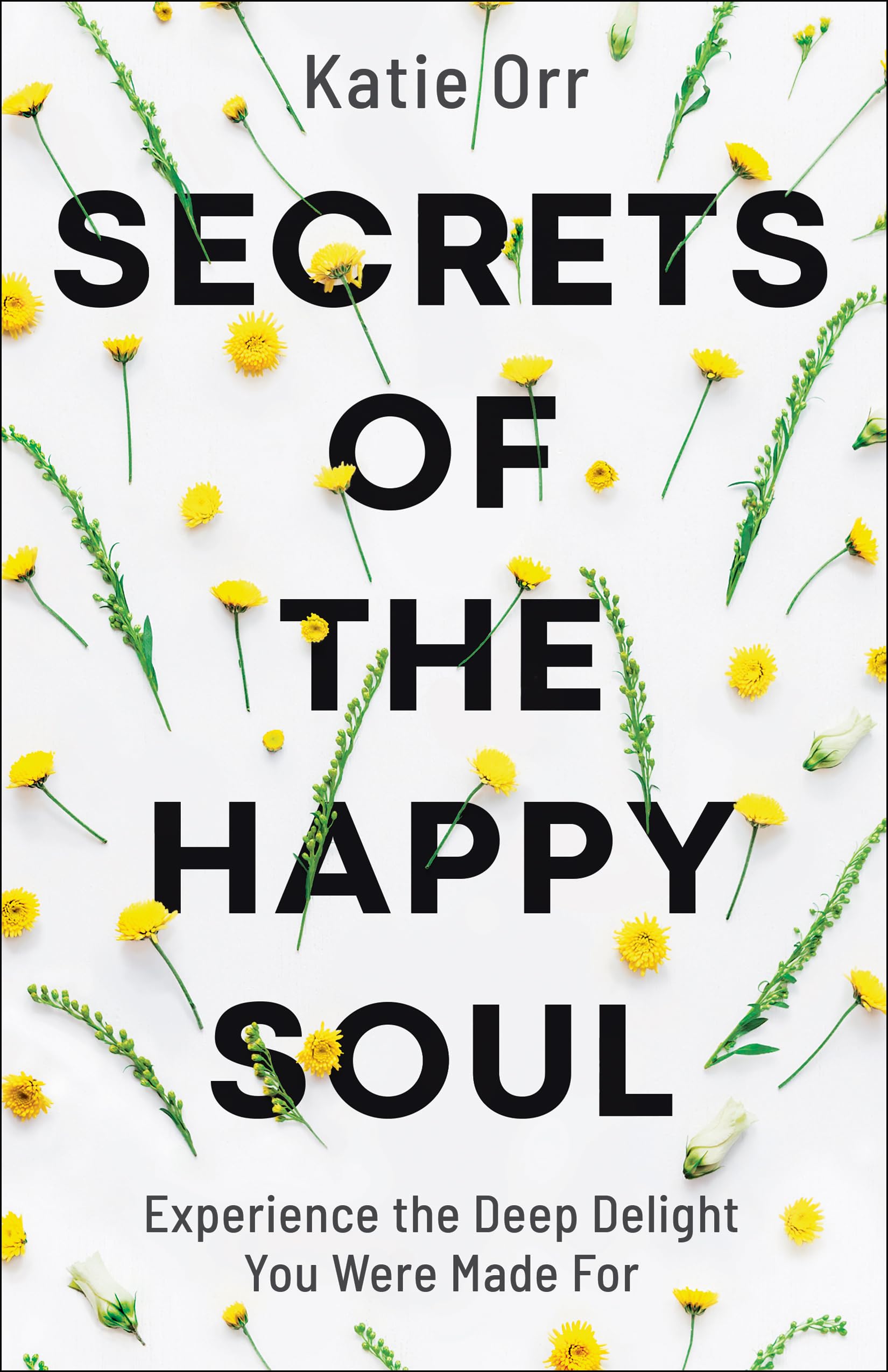 Secrets of the Happy Soul: Experience the Deep Delight You Were Made For Books