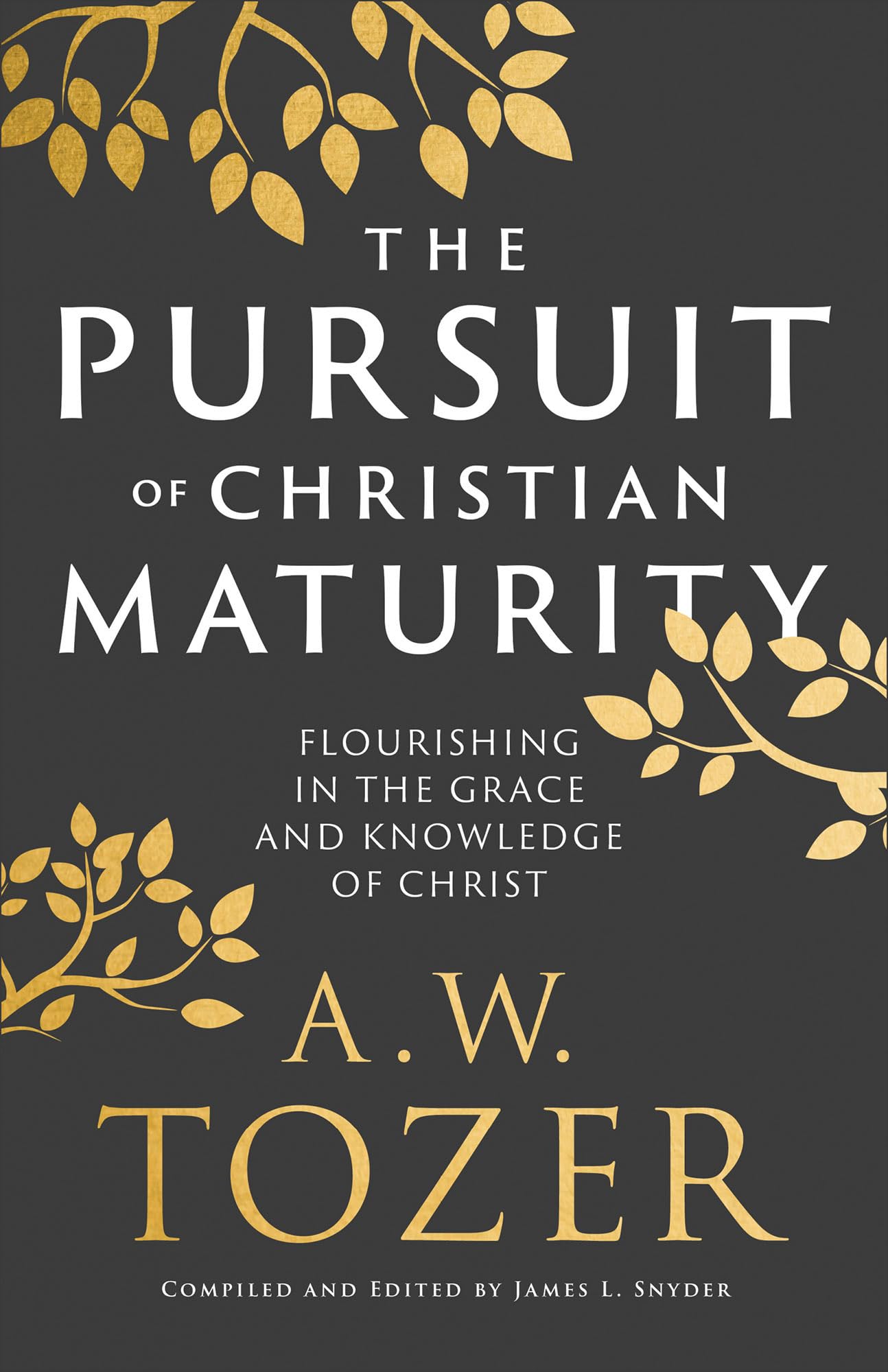 The Pursuit of Christian Maturity: Flourishing in the Grace and Knowledge of Christ Leisure & Fun
