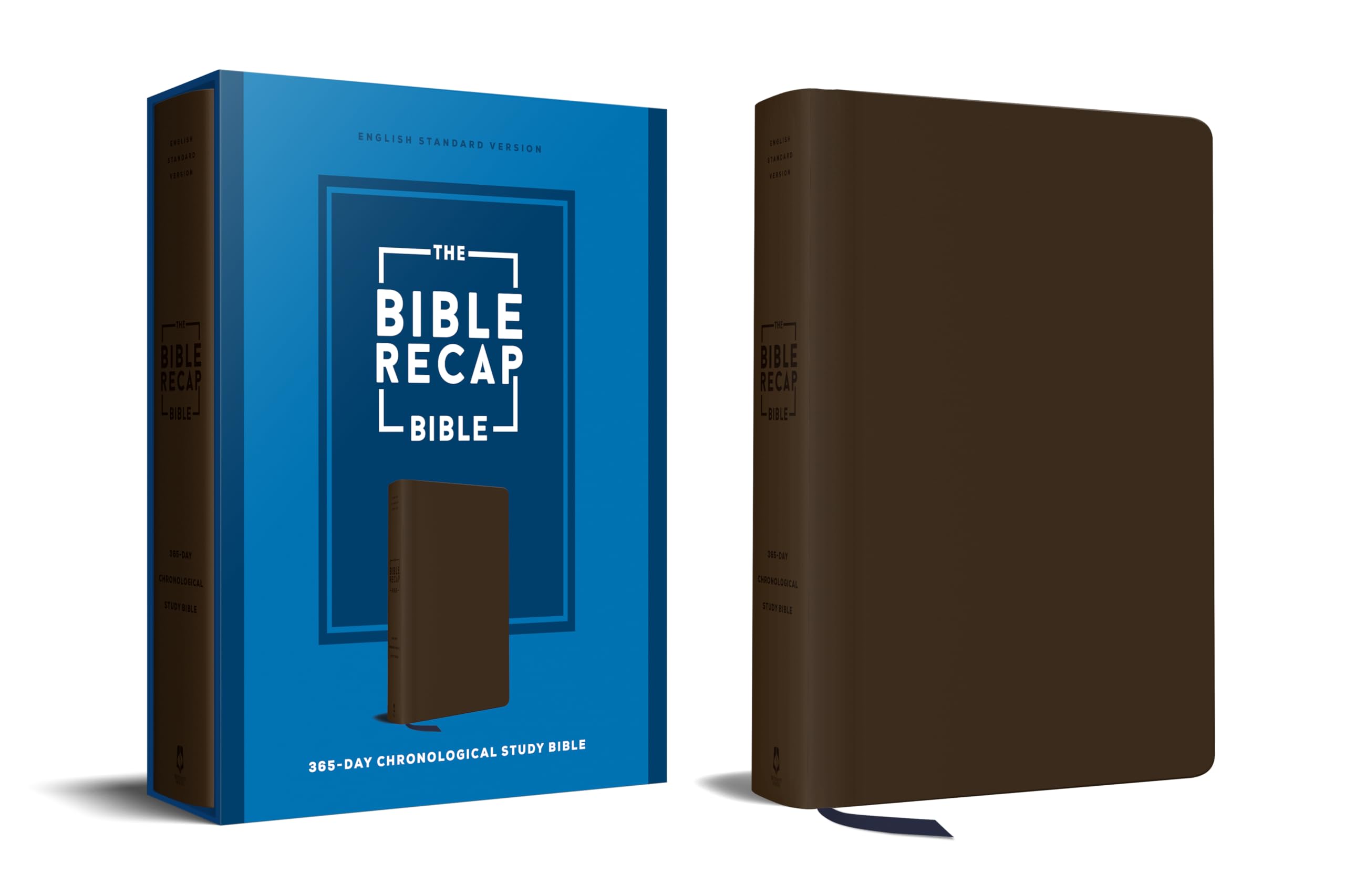 The Bible Recap 365-Day Chronological Study Bible Religion & Esotericism