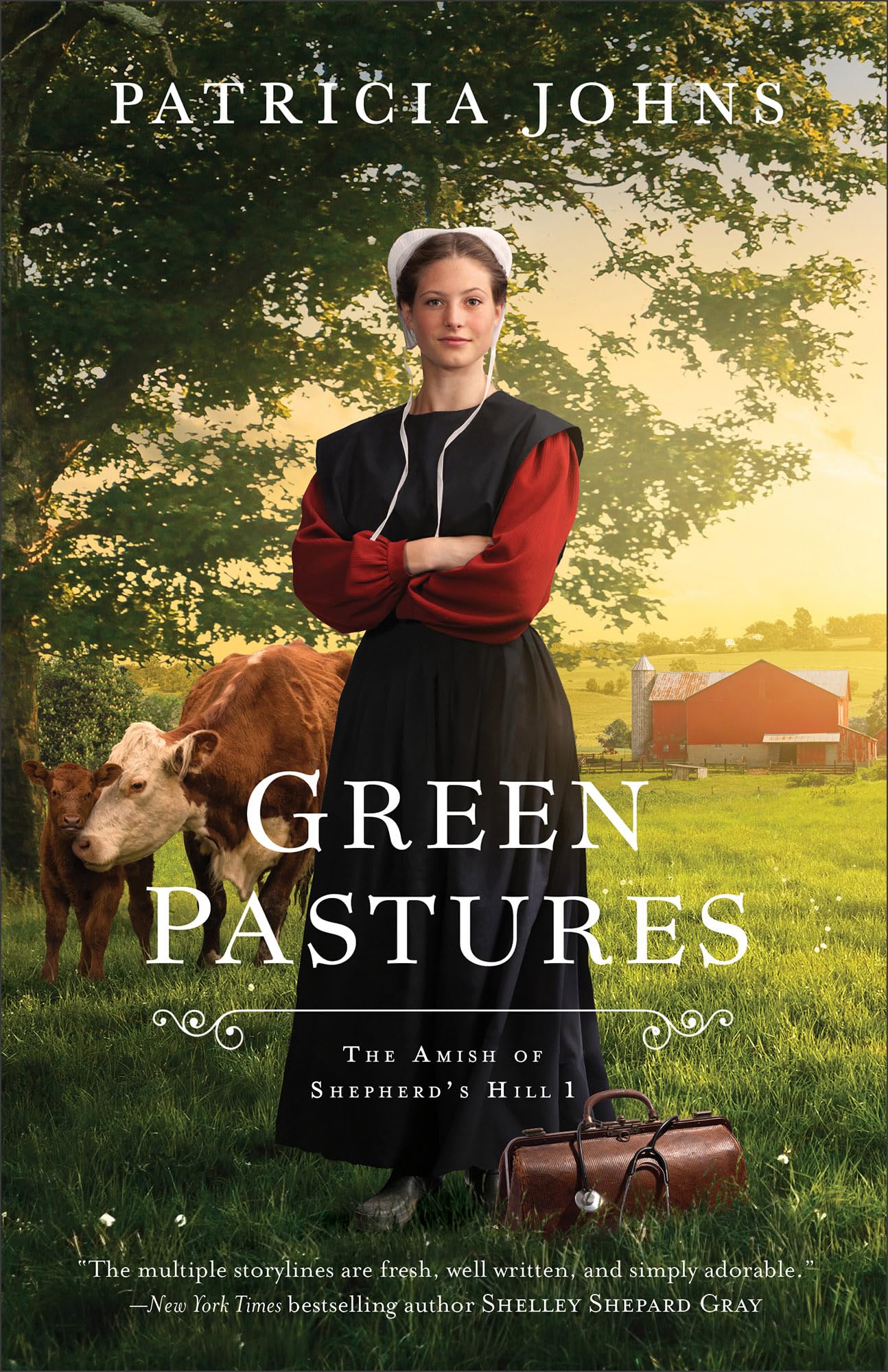 Green Pastures (Amish of Shepherd's Hill, 1, Band 1) Contemporary literature