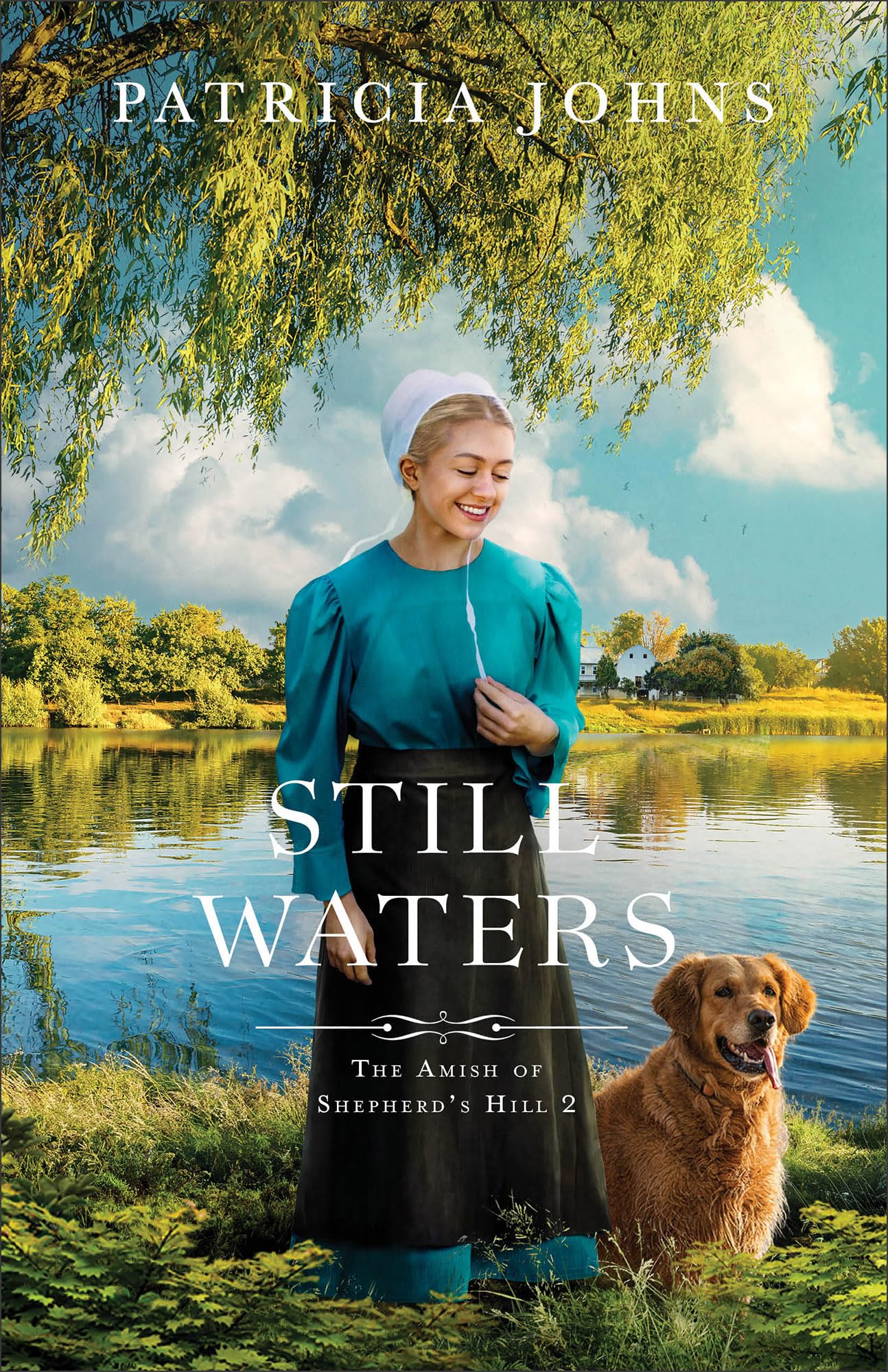 Still Waters (Amish of Shepherd's Hill, 2, Band 2) Contemporary literature