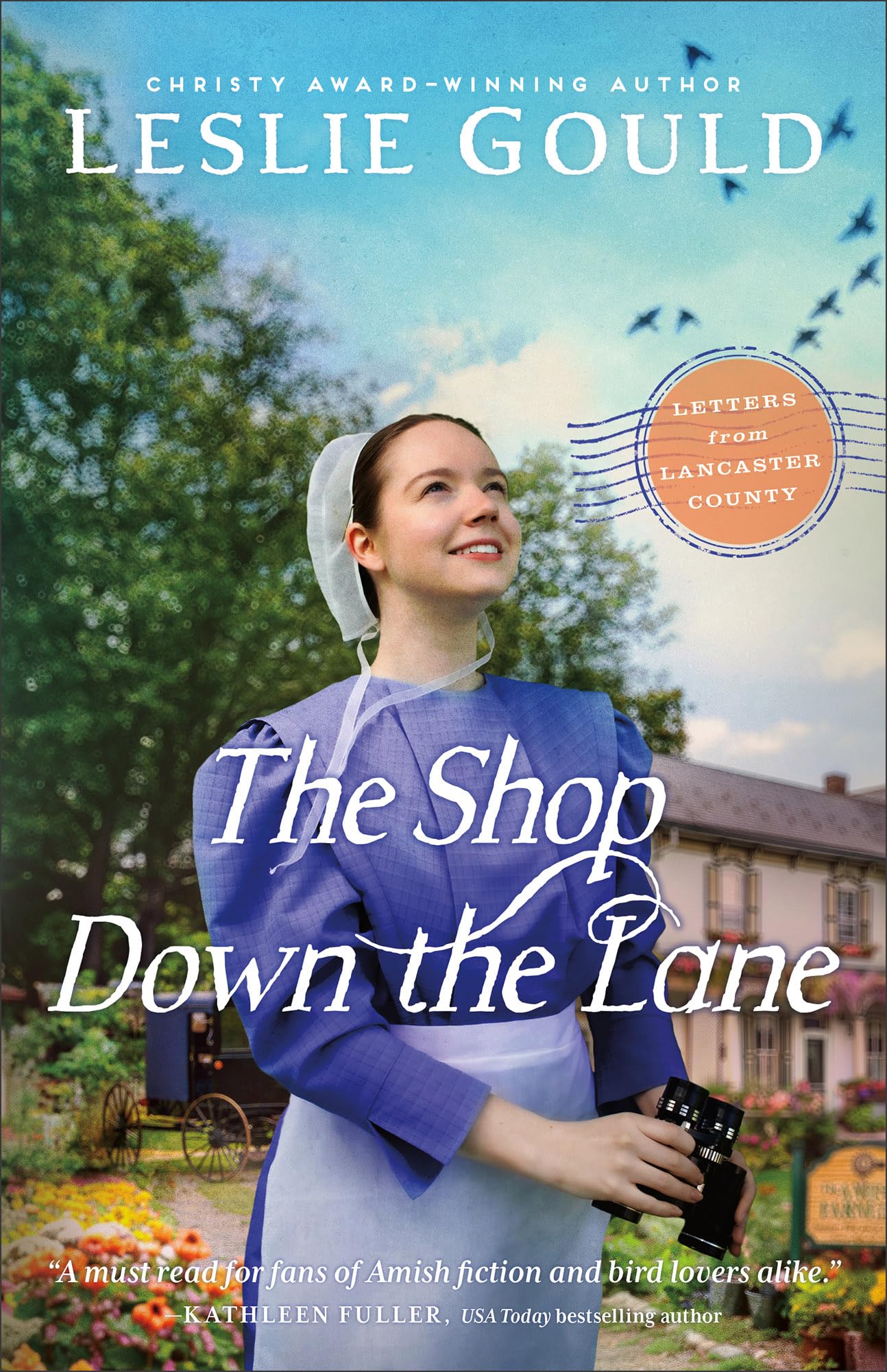 The Shop Down the Lane (Letters from Lancaster County) Religion & Esotericism