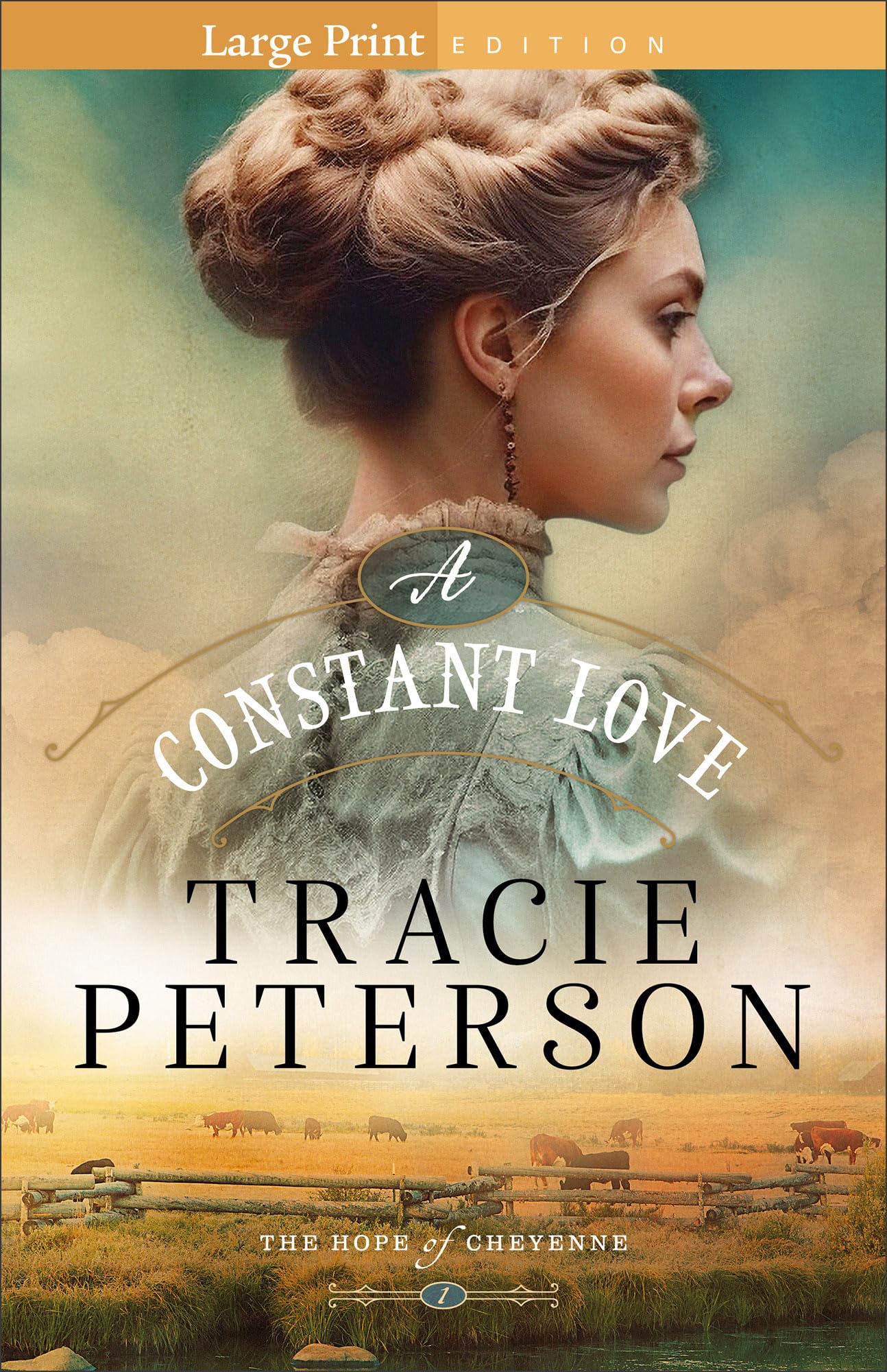 A Constant Love (Hope of Cheyenne, 1, Band 1) Religion & Esotericism