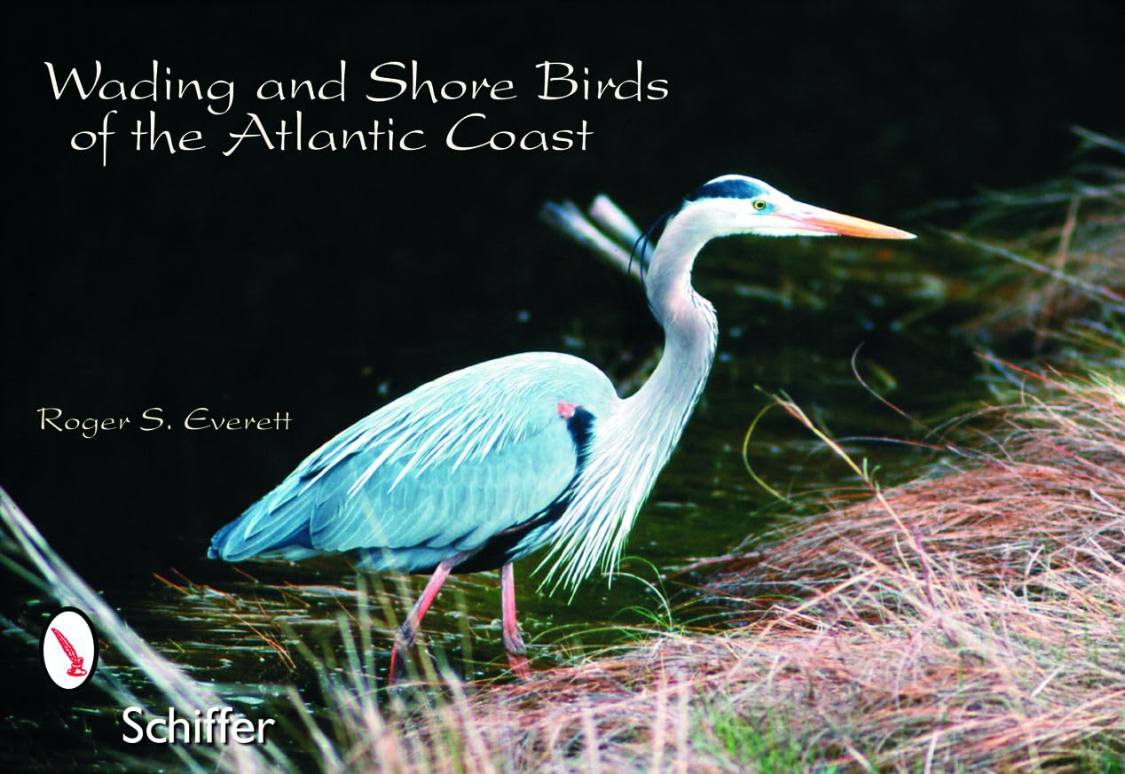 Wading and Shore Birds of the Atlantic Coast: Postcards Mathematics