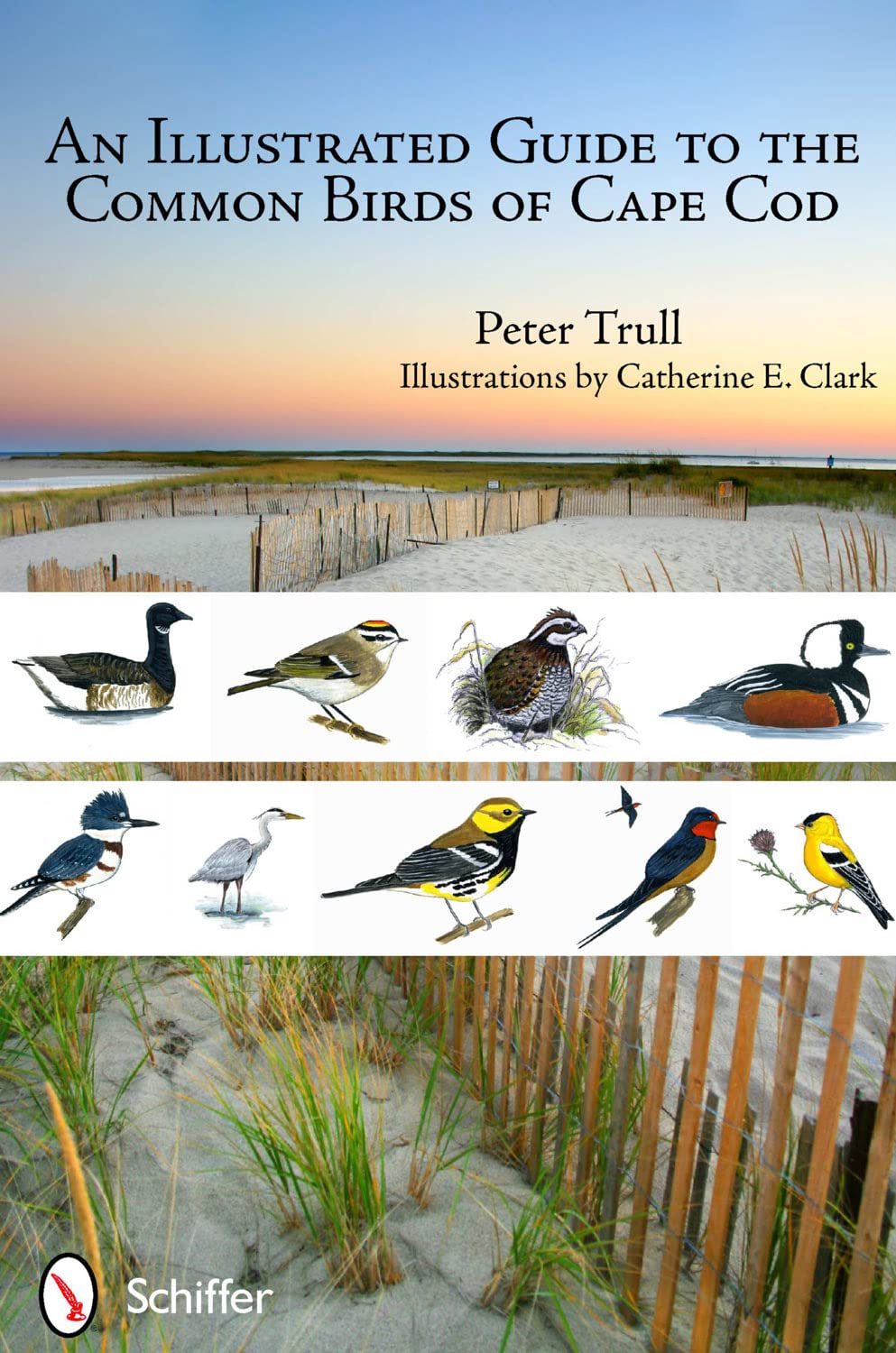 An Illustrated Guide to the Common Birds of Cape Cod Mathematics